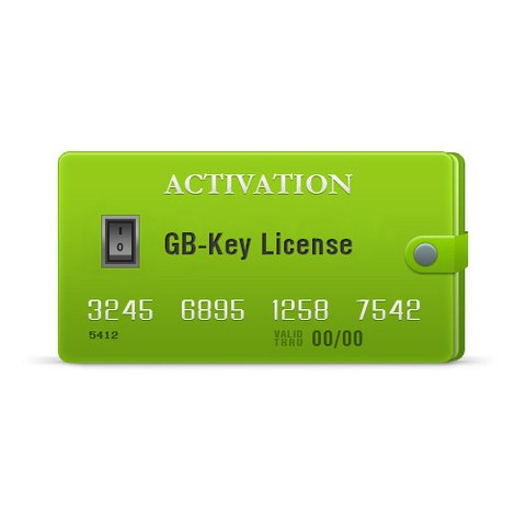 GB Key 1 Year License Activation